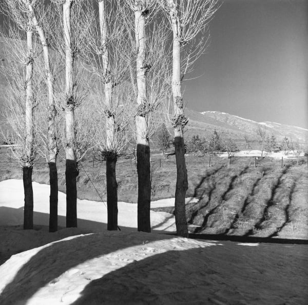 Latif Al Ani, Border between Iran and Iraq, Hadji Omran 1960, 2019