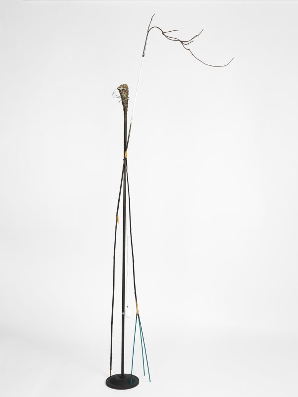 Shaqayeq Arabi, Untitled, 2025