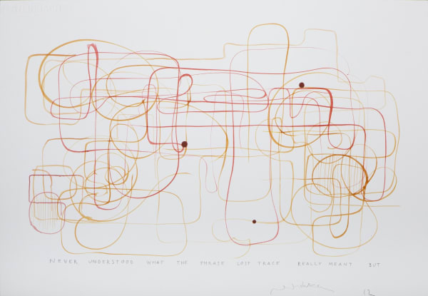 Fred Eerdekens, Lost Trace, 2013