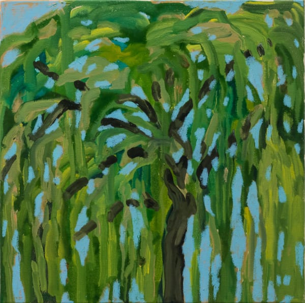 Alia Zaal, Memory of a Ghaf, 2024