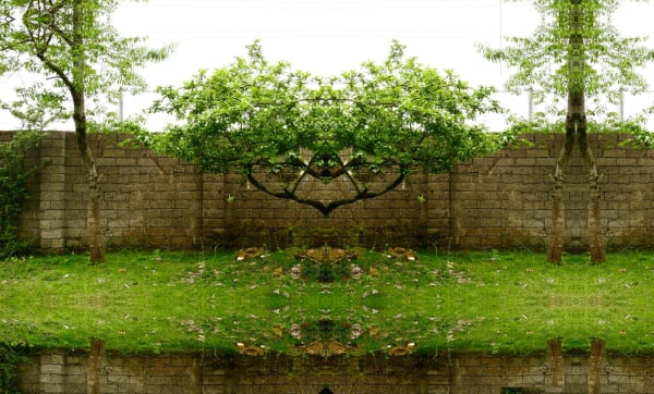 Ramin Haerizadeh, Wonders of Nature, 2006-2007