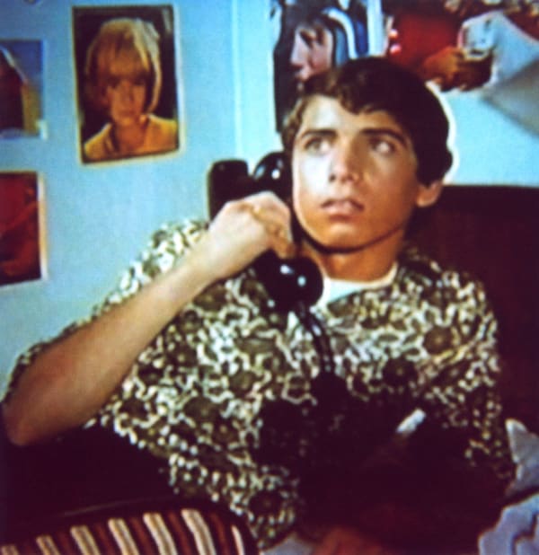 Raed Yassin, Rami in his Room, 2015