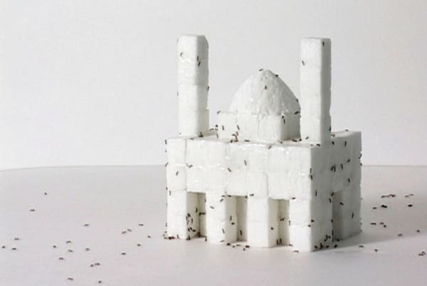 Adel Abidin, Tasty, 2007