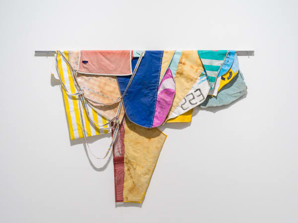 Zé Tepedino, City bird, 2024