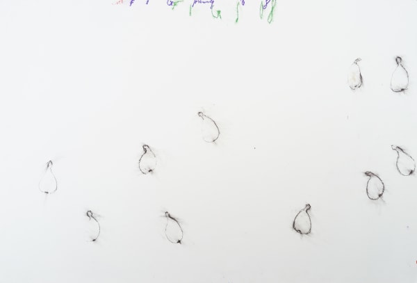 Fereydoun Ave, Fig and the Fig Leaf, 2008