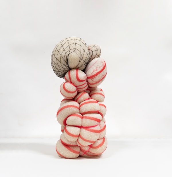 Hoda Tawakol, Mummy #18, 2021