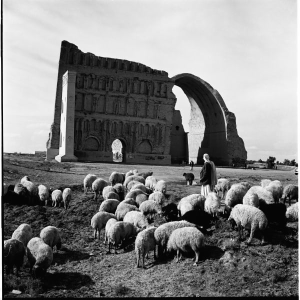 Latif Al Ani, Shepherd, Ctesiphon, Al Mada'in, 1962, 2019