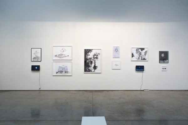 Chromophobia, 2013