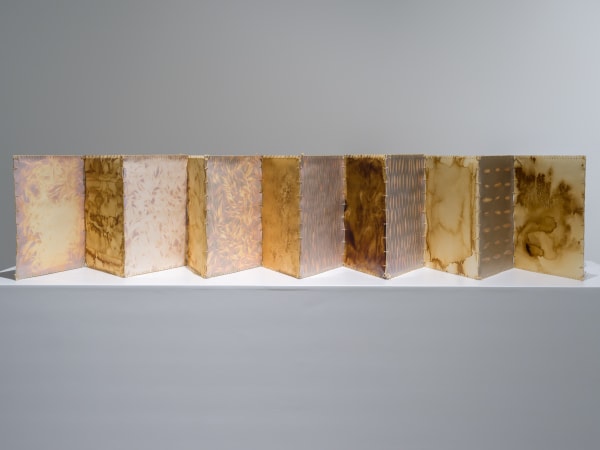 Tamara Kalo, Olive Leaves Memories, 2024