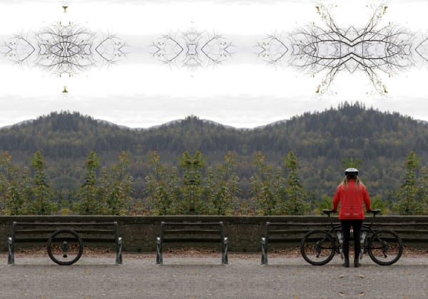 Ramin Haerizadeh, Wonders of Nature, 2006-2007