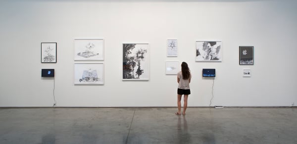 Chromophobia, 2013