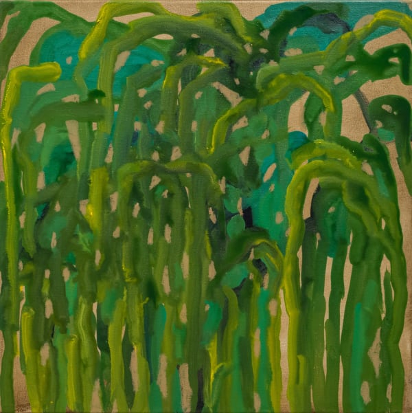 Alia Zaal, Memory of a Ghaf after the Rain 3, 2024