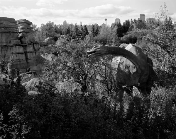 Matthew Pillsbury, Escaping Calgary, 2008 (TV08376)