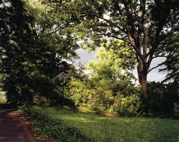 Angela West, Familiar Landscape #1, 2002