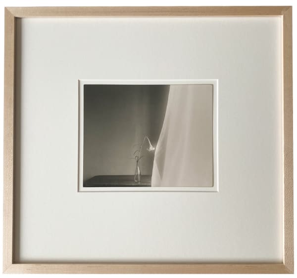 Yamamoto Masao, Tomosu #6002, 2023