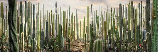 Ruud van Empel, Theatre #8, 2013