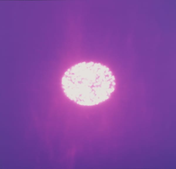 Christopher Bucklow, The Beauty of the World, 4:59 pm, 24th July, 2008