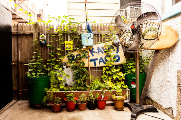 Todd Selby, Rockaway Taco, 2011