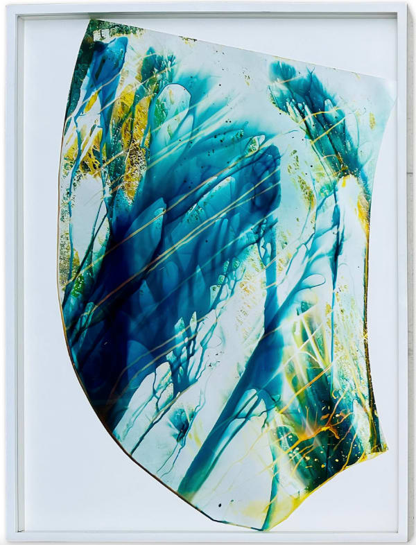 Mariah Robertson, 311, 2015 SOLD