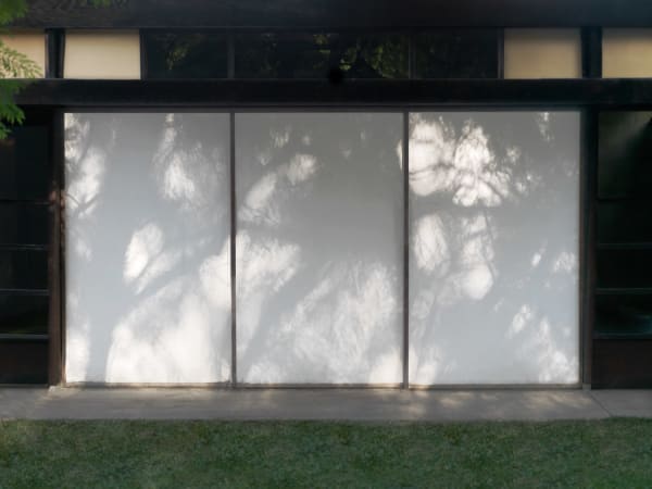 Mona Kuhn, Ink Wash, 2021