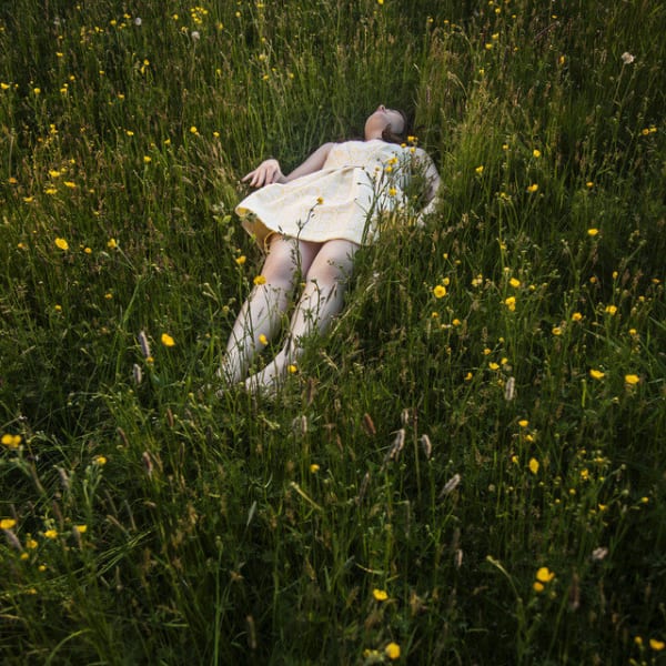 Cig Harvey, The Buttercups, Devin, Camden, Maine, 2013