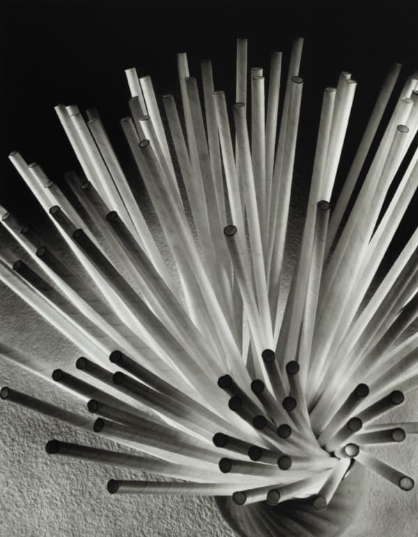 Ruth Bernhard Straws, 1930 SOLD