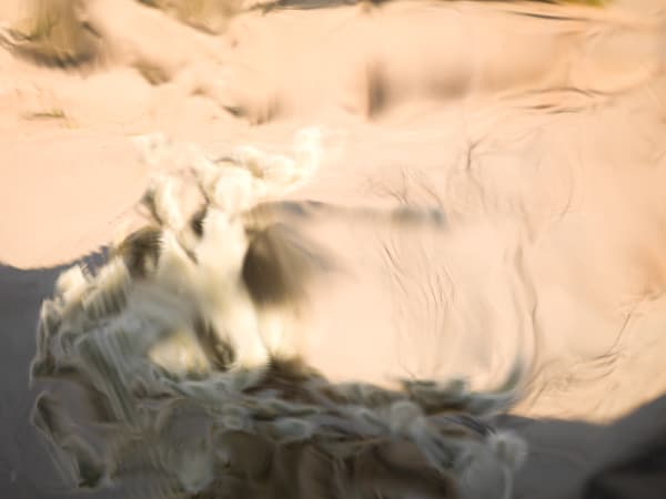 Mona Kuhn, AD 7877, 2013