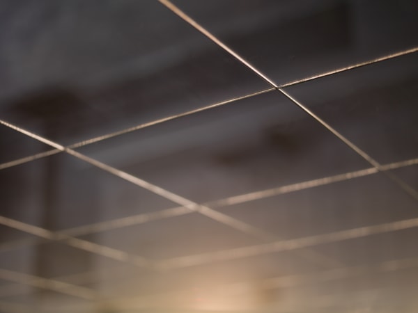 Mona Kuhn, AD 14619, 2013