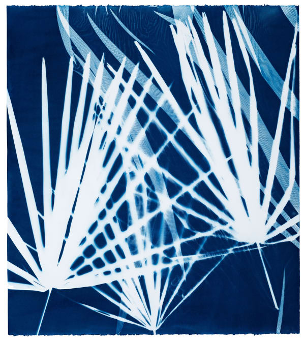 V. Elizabeth Turk, Vendla: Studies for Dress Design N°5, Palmetto, 2024
