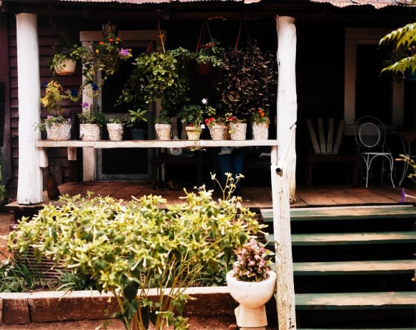 William Christenberry, Flowers and Porch, near Morgan Springs, Alabama, 1985