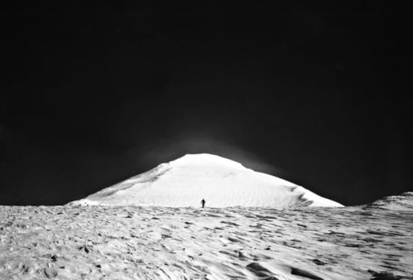 Tommy Nease, Pahto, 2017