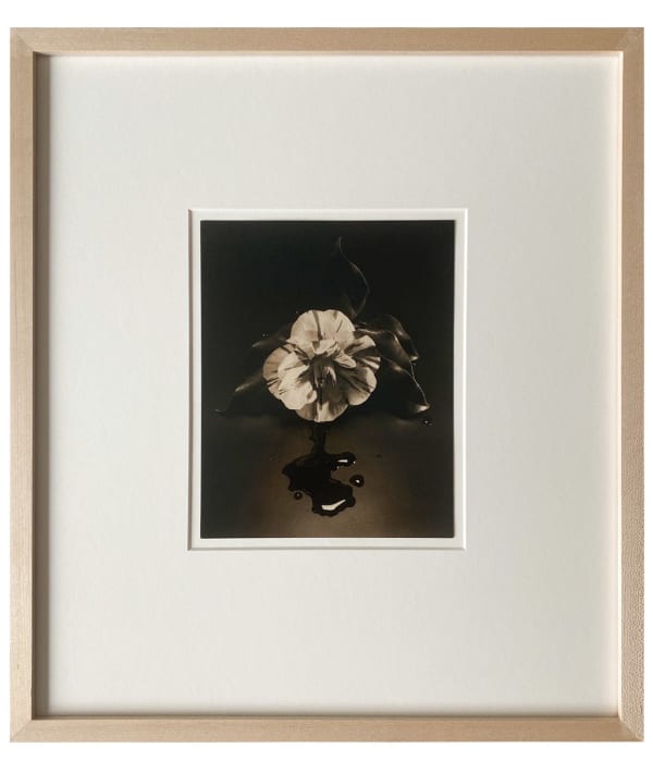 Yamamoto Masao, Tomosu #6000, 2023