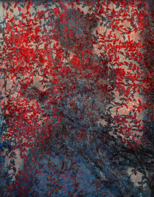 Erik Madigan Heck, The Tapestry, The Tapestry, 2024