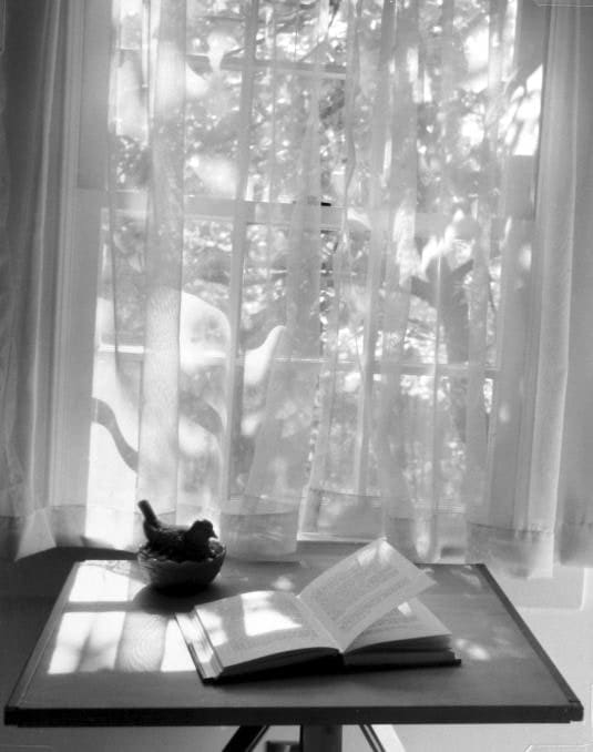 André Kertész, Intime Elizabeth