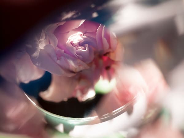 Edith Maybin, Untitled #15, The Girl Document , 2013