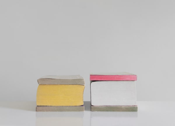 Mary Ellen Bartley, Summer Reading #8, from the series Reading in Color, 2019