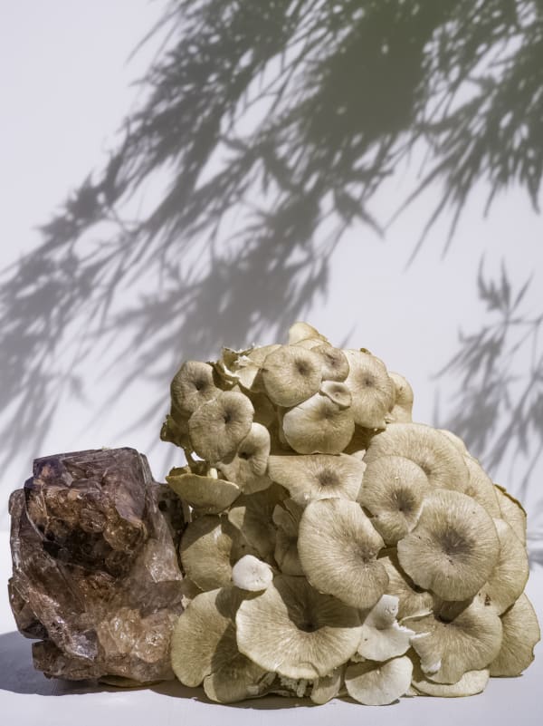 Carolyn Carr, Quartz Mushroom Maple , 2018