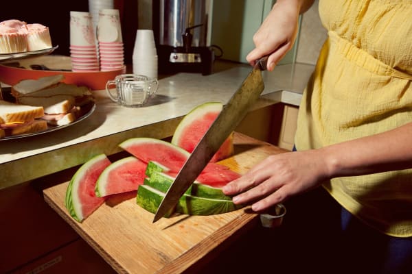 Holly Andres, The Watermelon, from The Fall of Spring Hill, 2011