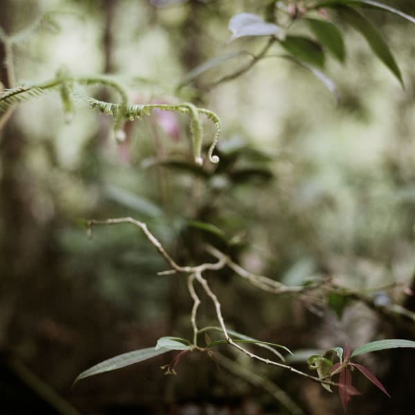 Mona Kuhn, Spring, 2009