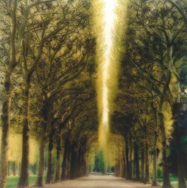 Lynn Geesaman, Parc de Sceaux, France (4-04-16c-8), 2004