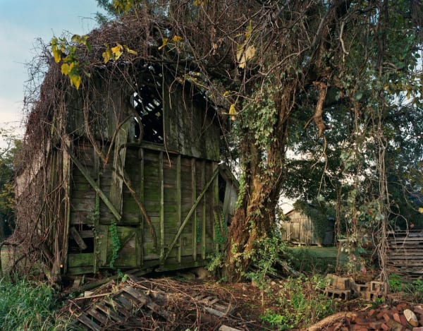 Andrew Moore, Patrick's Place, Tunica, MS, 2014