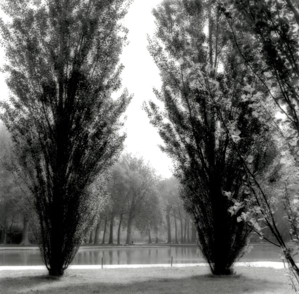 Lynn Geesaman, Parc de Sceaux, France (4-06-11-8), 2007