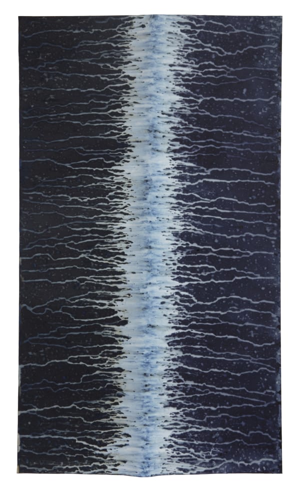 Meghann Riepenhoff, Ecotone #313 (Bainbridge Island, WA 03.01.18, Draped on Branch, Mixed Precipitation), 2018