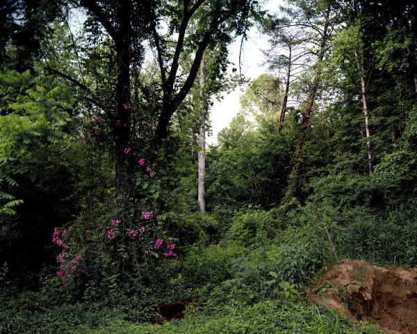 Angela West, My 33rd Spring, #2 (chaos), 2003