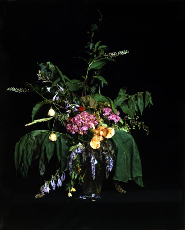 Angela West, Summer Still Life #4, From the series: Nature Morte, 2004