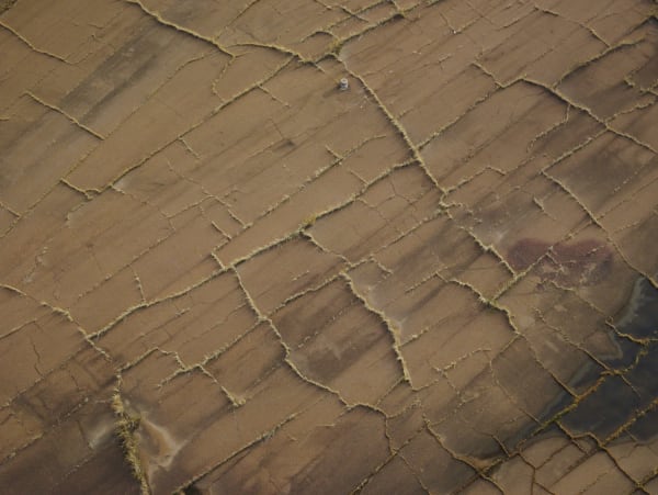 Andrew Moore, Tunica, MS, 2014