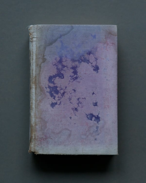 Mary Ellen Bartley, Shandygaff, from the series Reading Grey Gardens, 2017