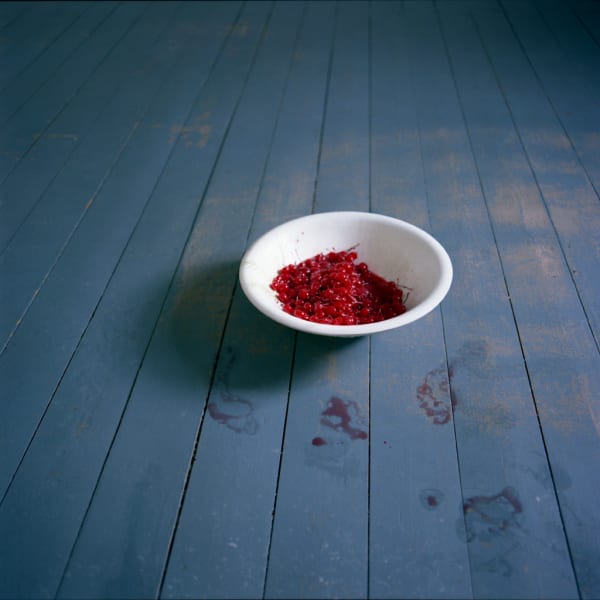Cig Harvey, Bowl of Cherries, Rockport, Maine, 2007