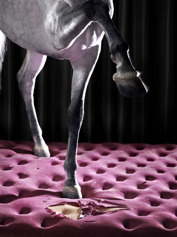 Edith Maybin, Untitled #10, The Conversation Document, 2008