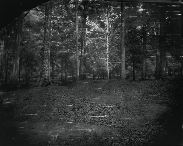 Sally Mann, Landscape #27 (from the Battlefield), 2002
